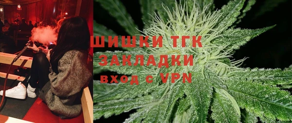 PSILOCYBIN Верхний Тагил