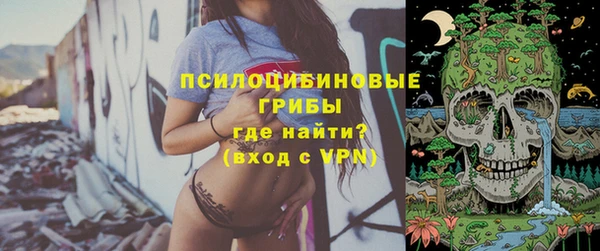 PSILOCYBIN Верхний Тагил