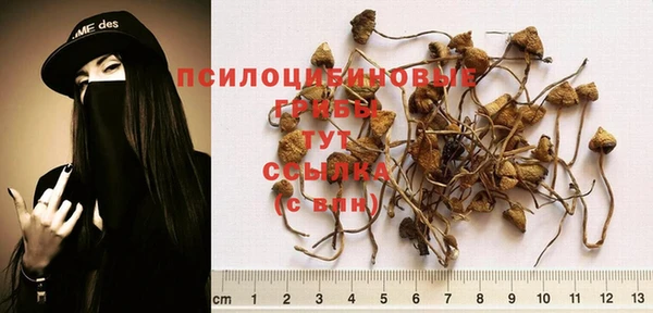 синтетический гашиш Бронницы